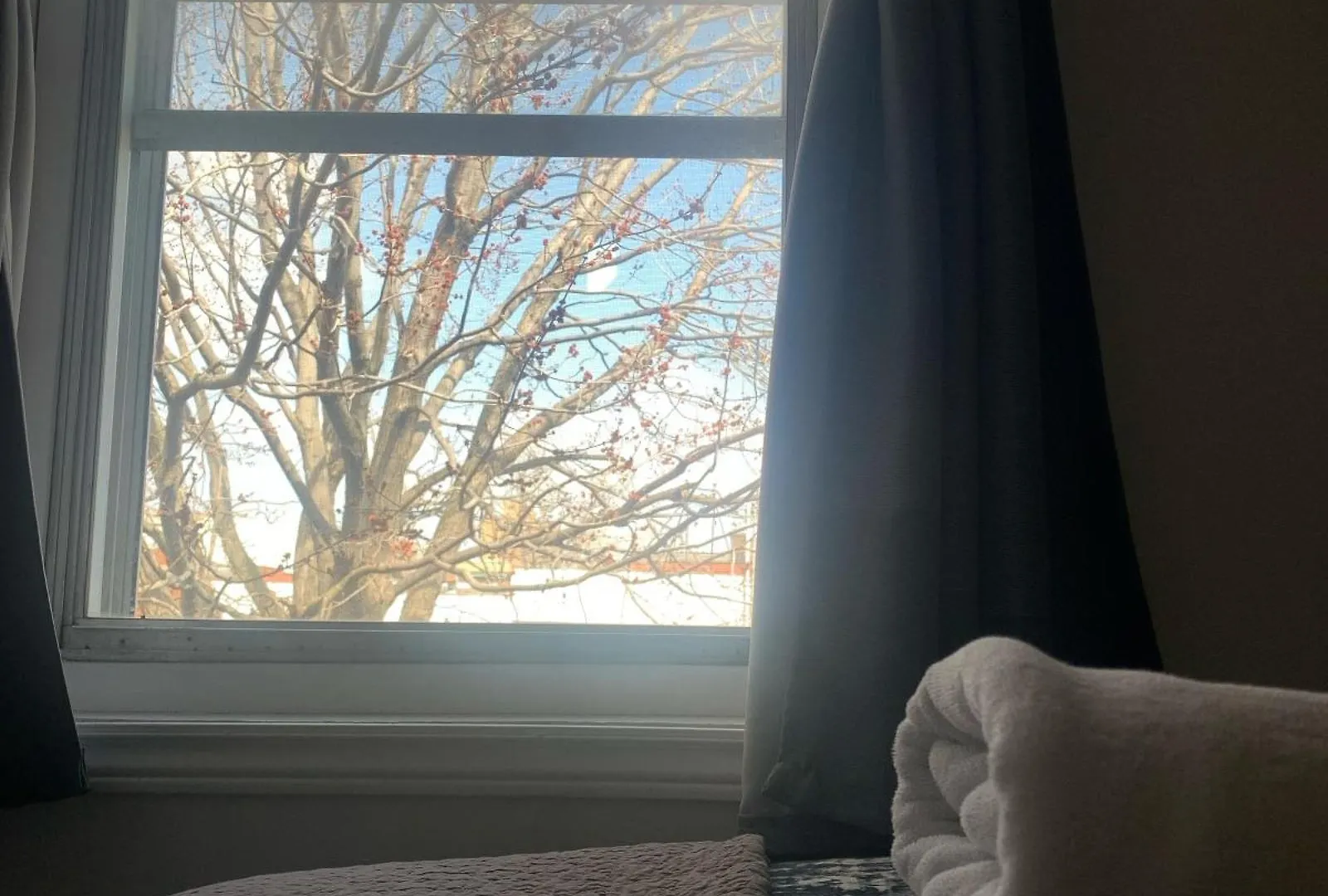 Guest house Pensione Popolo Montreal