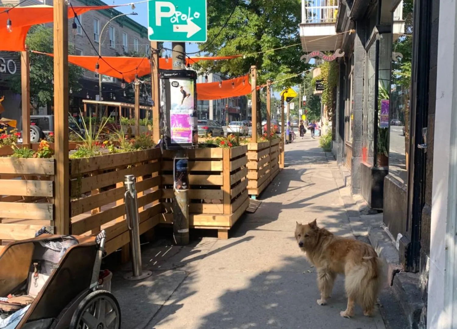 Pensión Pensione Popolo Montreal